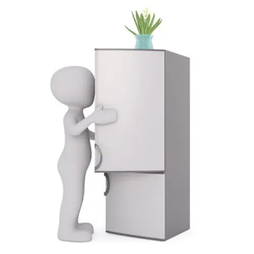 Refrigerator-Repair--in-Cape-Coral-Florida-refrigerator-repair-cape-coral-florida.jpg-image